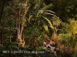 SONORA – Associação Cultural