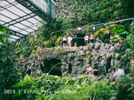 SONORA – Associação Cultural